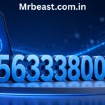 6563338005