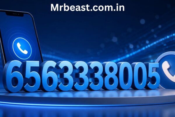 6563338005