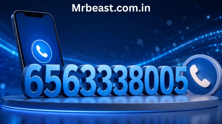 6563338005