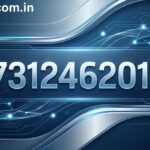 7312462014